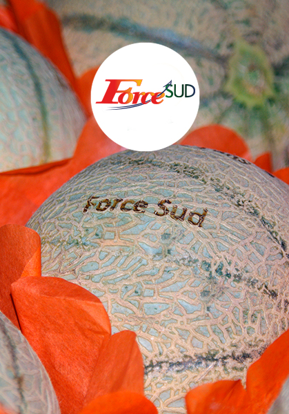 Force Sud - 1998