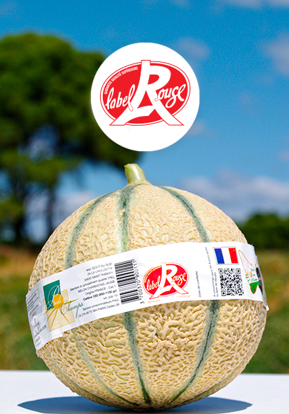 Force Sud - 2012 - Melon Label Rouge