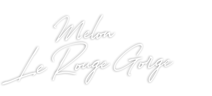 Melon Rouge-Gorge Force SUD