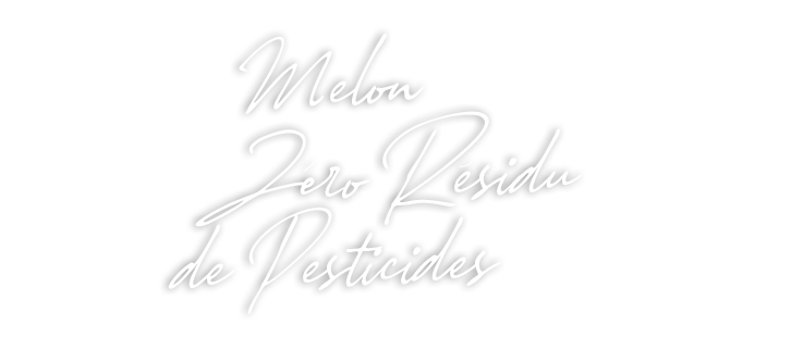 Melon Zéro Résidu de Pesticides - Force SUD